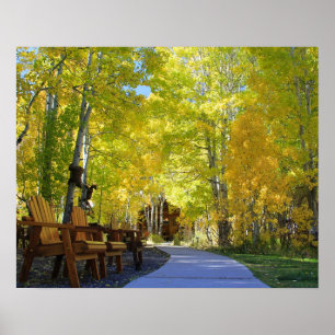 "Aspen Walkway", Uitzicht op de grond, najaar Poster