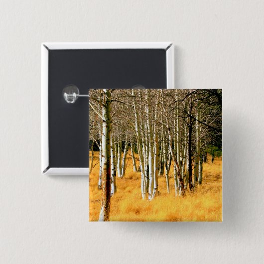 aspen woods button (Voorkant /achterkant)