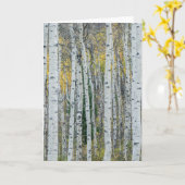 Aspenboomstammen | Aspen, Colorado Kaart (Gele Bloem)