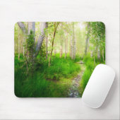 Aspens and Lush Grasses at Convict Lake Muismat (Met muis)