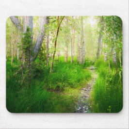 Aspens and Lush Grasses at Convict Lake Muismat