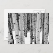 Aspens Briefkaart (Voorkant / Achterkant)