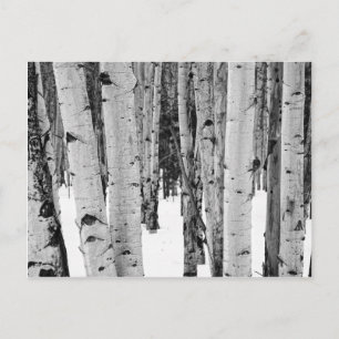 Aspens Briefkaart