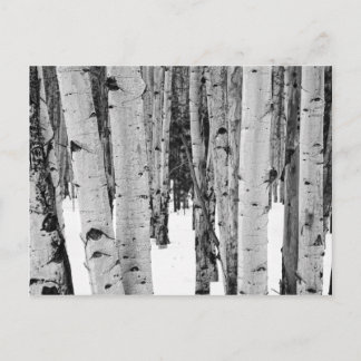 Aspens Briefkaart