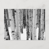 Aspens Briefkaart (Voorkant)