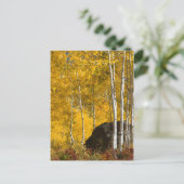 Aspens Briefkaart (Staand voorkant)