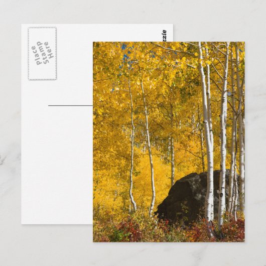Aspens Briefkaart (Voorkant / Achterkant)