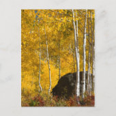 Aspens Briefkaart (Voorkant)