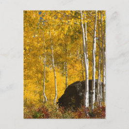Aspens Briefkaart
