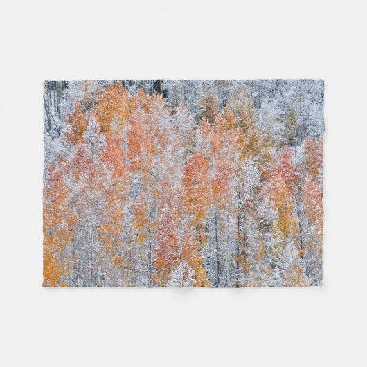 Aspens en sneeuw | Rocky Mountains, Colorado Fleece Deken (Voorkant (Horizontaal))