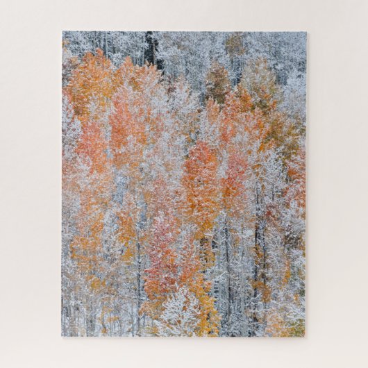 Aspens en sneeuw | Rocky Mountains, Colorado Legpuzzel (Verticaal)