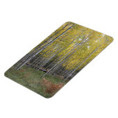 Aspen's gele gloed magneet (Linkerzijde)
