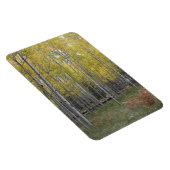 Aspen's gele gloed magneet (Rechterzijde)