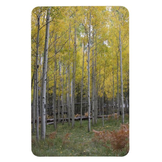 Aspen's gele gloed magneet (Verticaal)