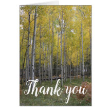 Aspen's Gele Glow bedankt