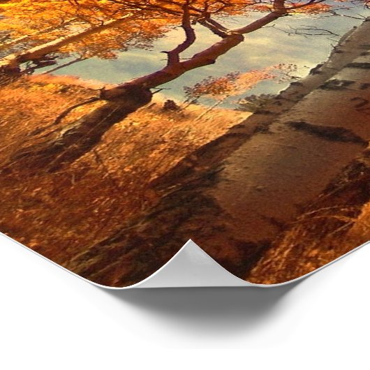 Aspens Glory Poster (Hoek)