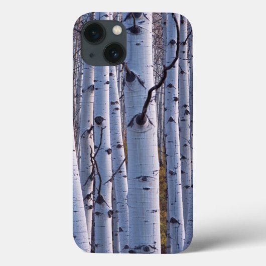 Aspens in Gunnison National Park Case-Mate iPhone Case (Achterkant)