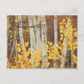 Aspens in het najaar briefkaart (Voorkant)