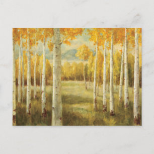 Aspens in het najaar briefkaart