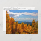 Aspens in New Mexico Briefkaart (Voorkant / Achterkant)