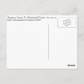 Aspens in New Mexico Briefkaart (Achterkant)