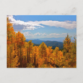 Aspens in New Mexico Briefkaart