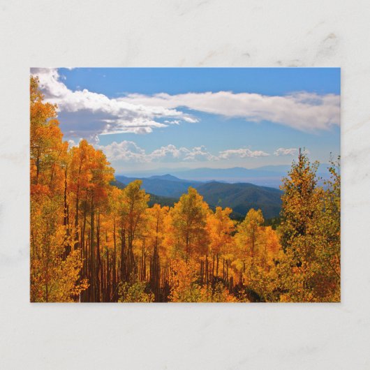 Aspens in New Mexico Briefkaart (Voorkant)