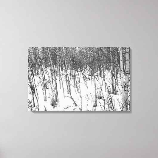 Aspens in Sneeuw Canvas kunst print (Voorkant)