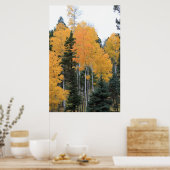 Aspens in Taos Pines Poster (Keuken)