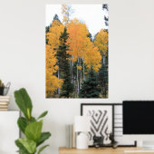 Aspens in Taos Pines Poster (Thuiskantoor)