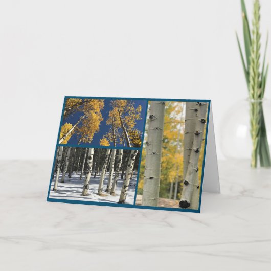 Aspens Kaart (Voorkant)