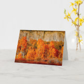 Aspens Kolob Zion NP Utah Blank Wenskaart Kaart (Gele Bloem)