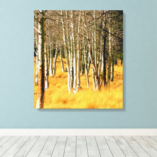 Aspens op de San Francisco Peaks Canvas Afdruk (Insitu (Houten vloer))