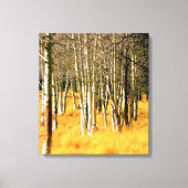 Aspens op de San Francisco Peaks Canvas Afdruk (Voorkant)