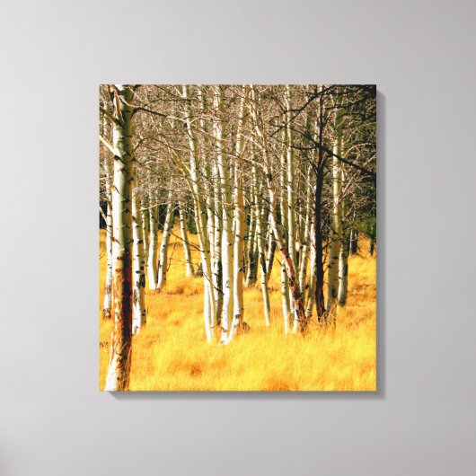 Aspens op de San Francisco Peaks Canvas Afdruk (Voorkant)