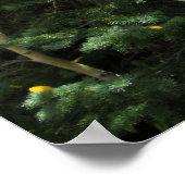 Aspens Poster (Hoek)