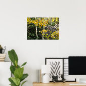 Aspens Poster (Thuiskantoor)