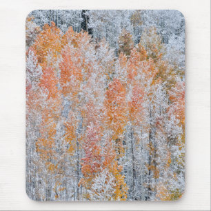 Aspens & Sneeuw   Rocky Mountains, Colorado Muismat