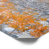 Aspens & Sneeuw | Rocky Mountains, Colorado Poster (Hoek)