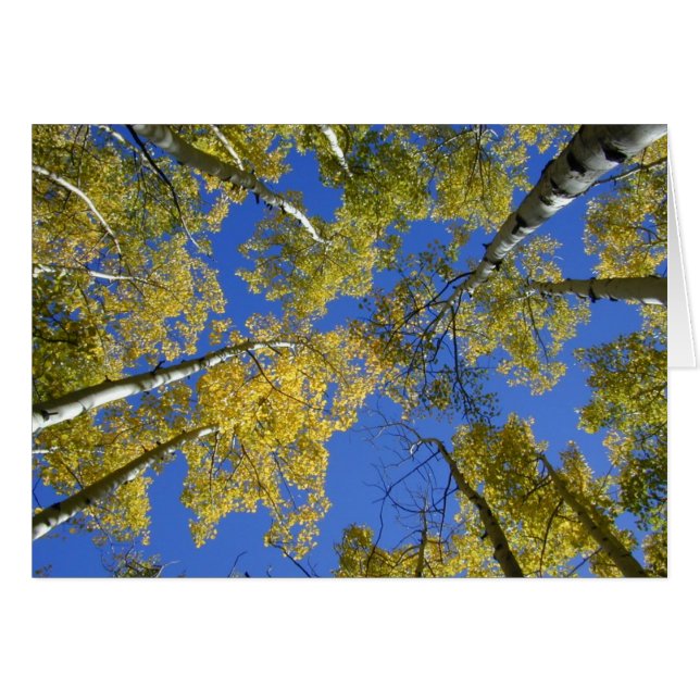 Aspens van Onder kaart (Voorkant Horizontaal)