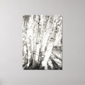 Aspens zwart-wit canvas afdruk (Voorkant)