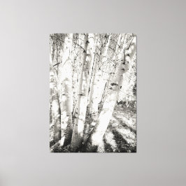 Aspens zwart-wit canvas afdruk