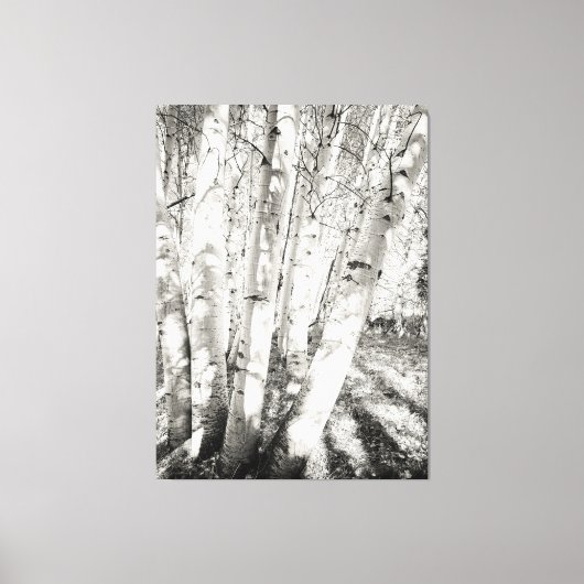 Aspens zwart-wit canvas afdruk (Voorkant)