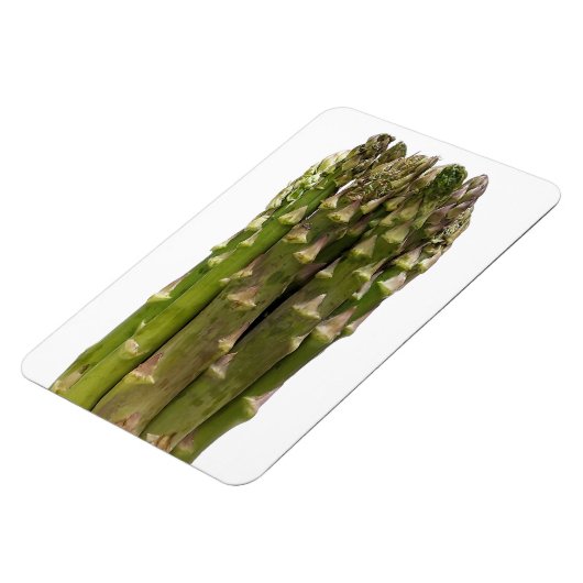 Asperge fotomagneet magneet (Linkerzijde)