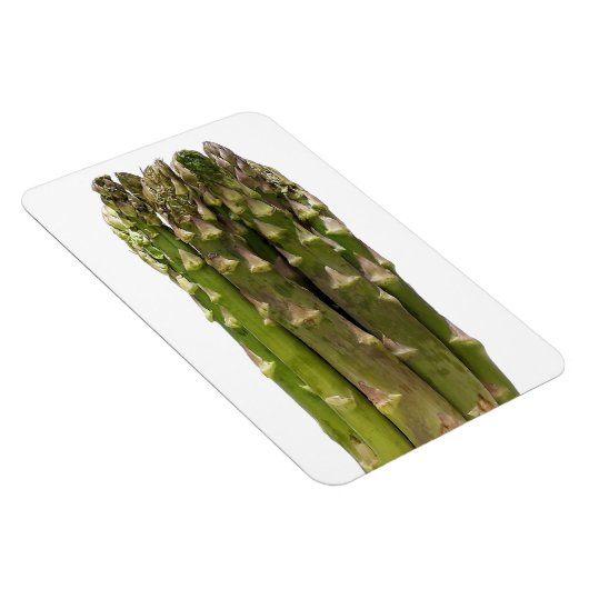 Asperge fotomagneet magneet (Rechterzijde)