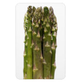 Asperge fotomagneet magneet (Verticaal)