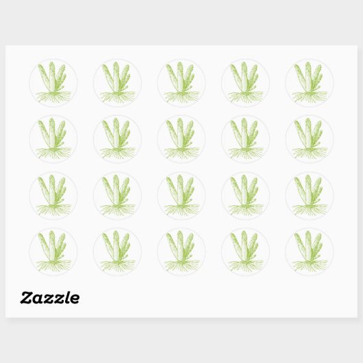 Asperge Stickers (Vel)