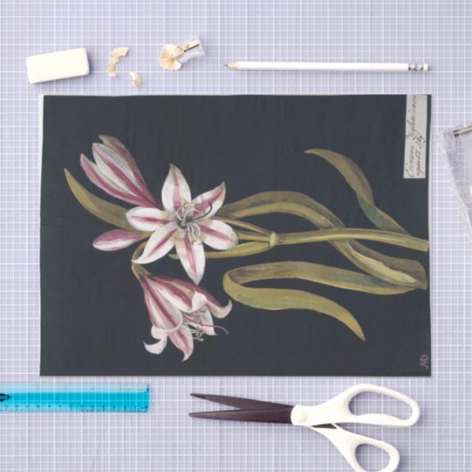 Asphodil Lily door Mary Delany Tissuepapier (Craft)