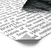 Aspidistra Head Plant Head Poster (Hoek)