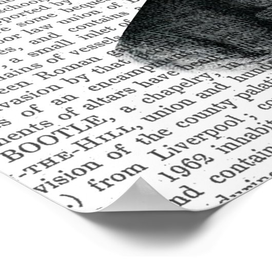 Aspidistra Head Plant Head Poster (Hoek)